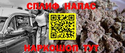 apvp Нальчик
